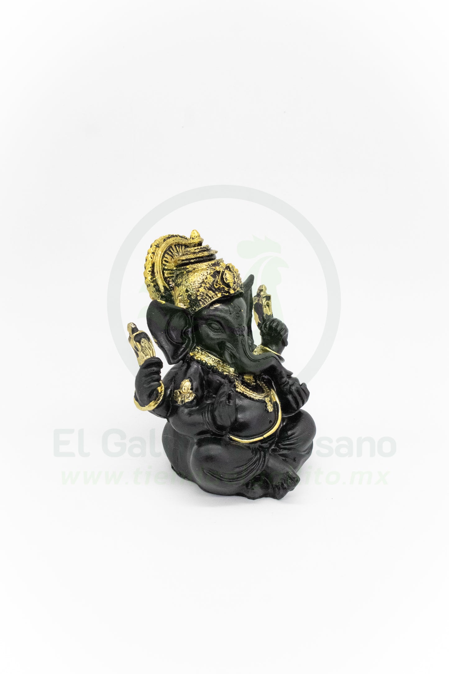 Adorno Ganesh MD6