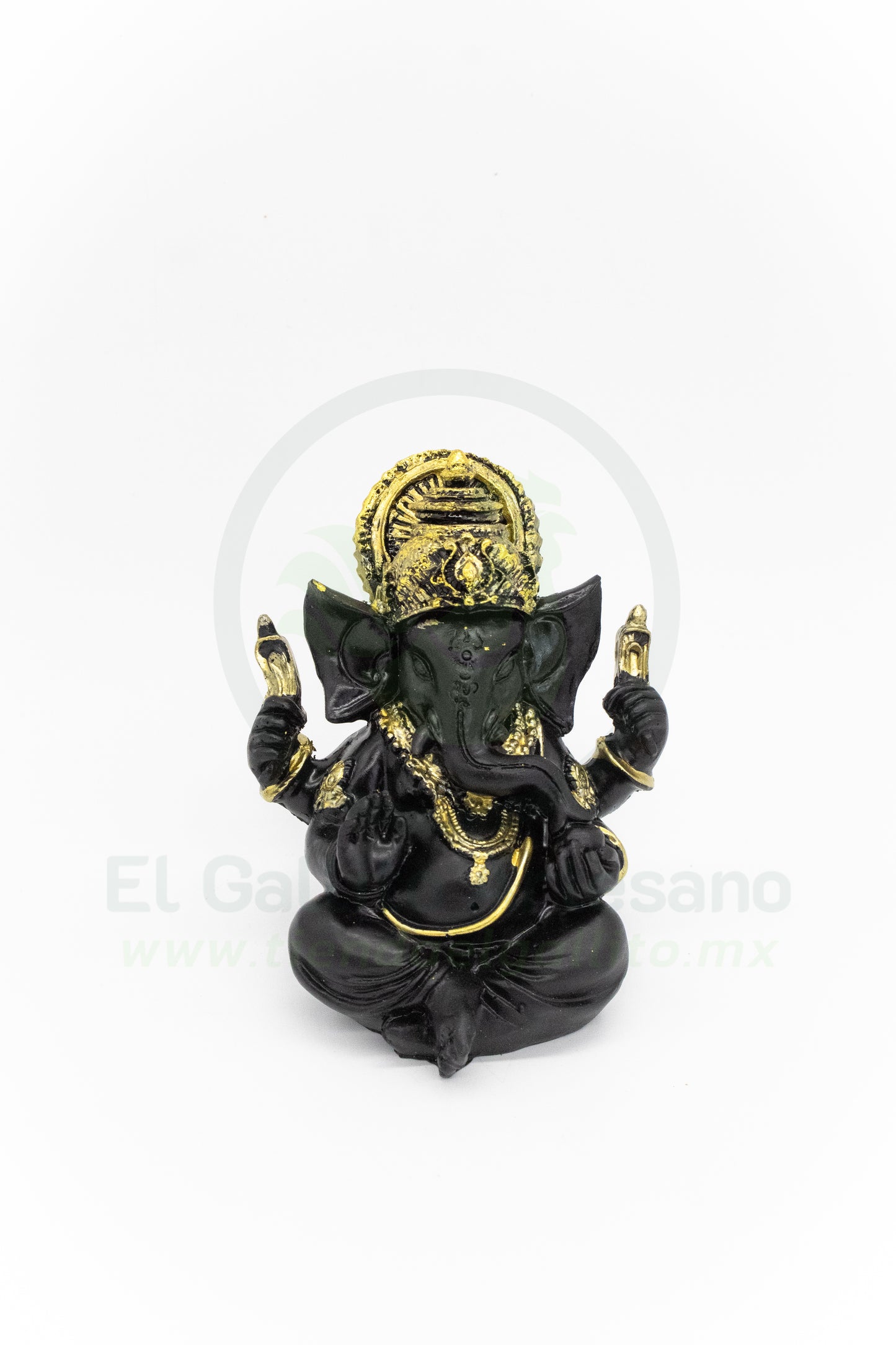 Adorno Ganesh MD6