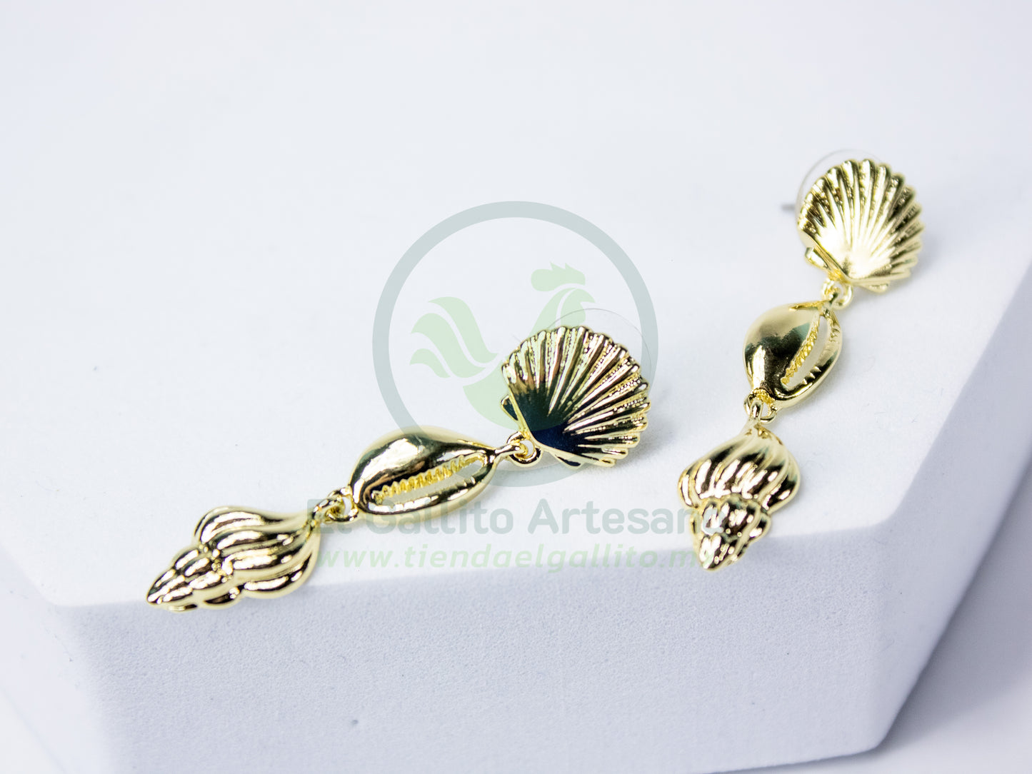 Arete 24-4 MD60-61 | Conchas de Mar