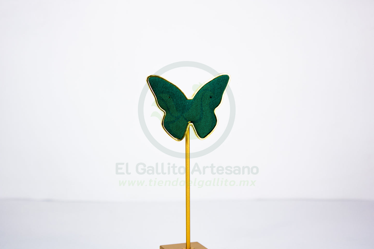 Exhibidor #151 | Mariposa Verde