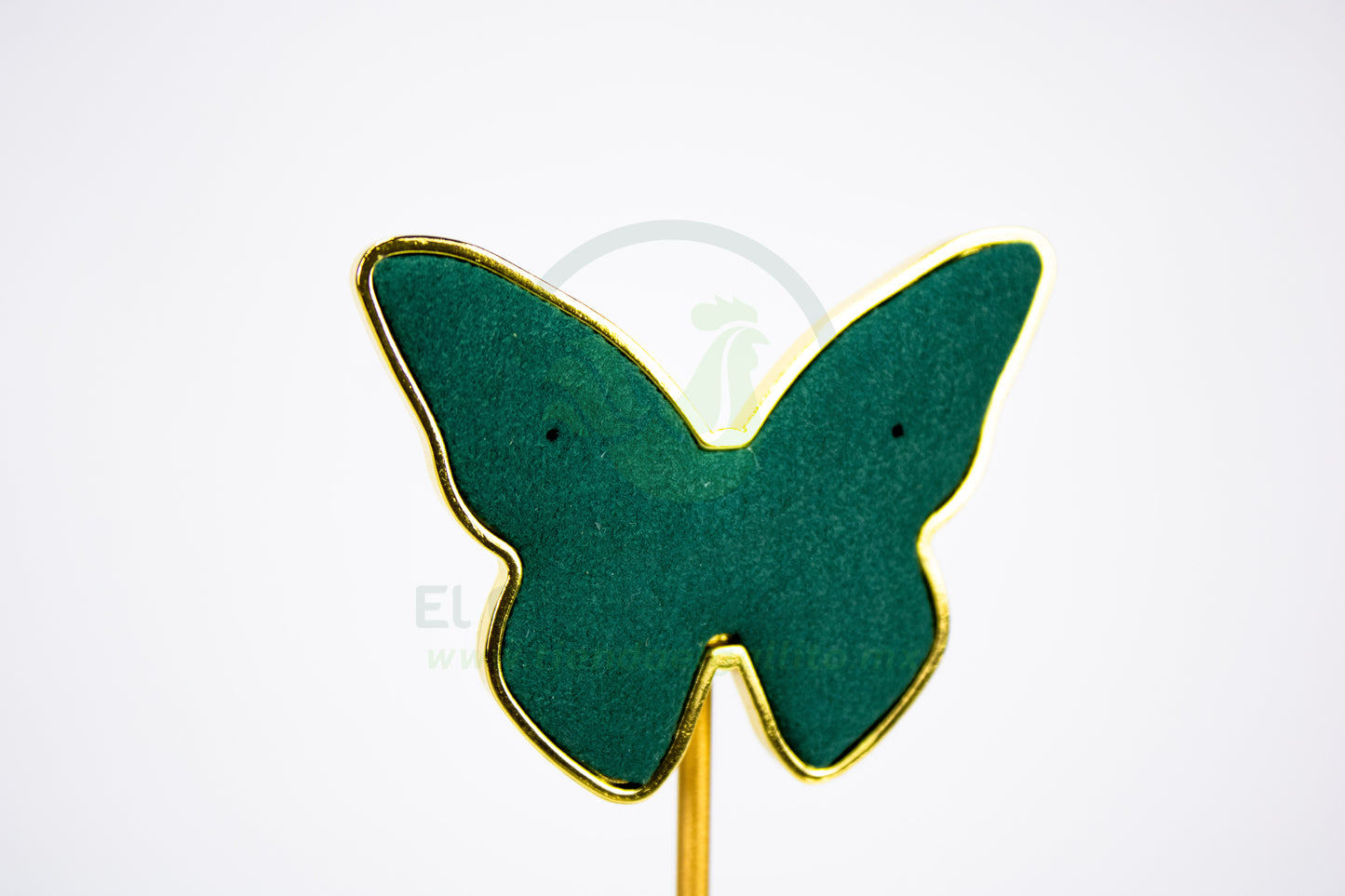 Exhibidor #151 | Mariposa Verde