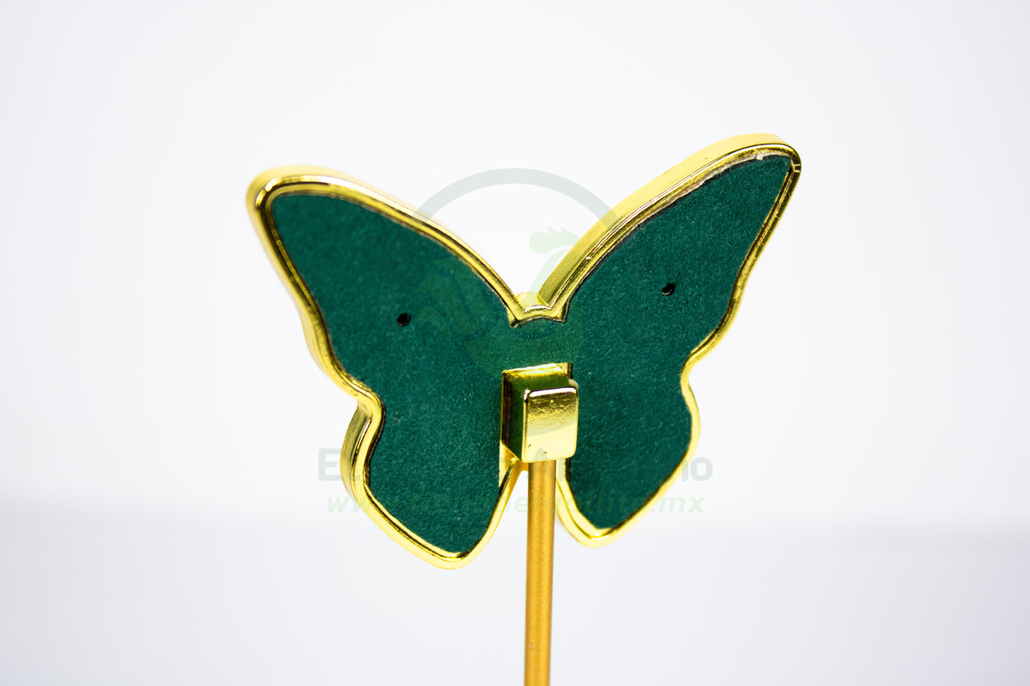 Exhibidor #151 | Mariposa Verde