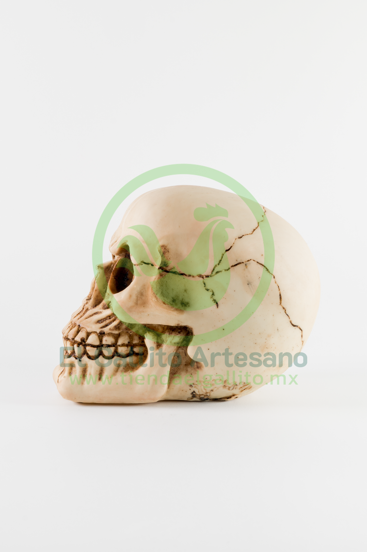 Mod. 42 Cráneo Mediano Liso