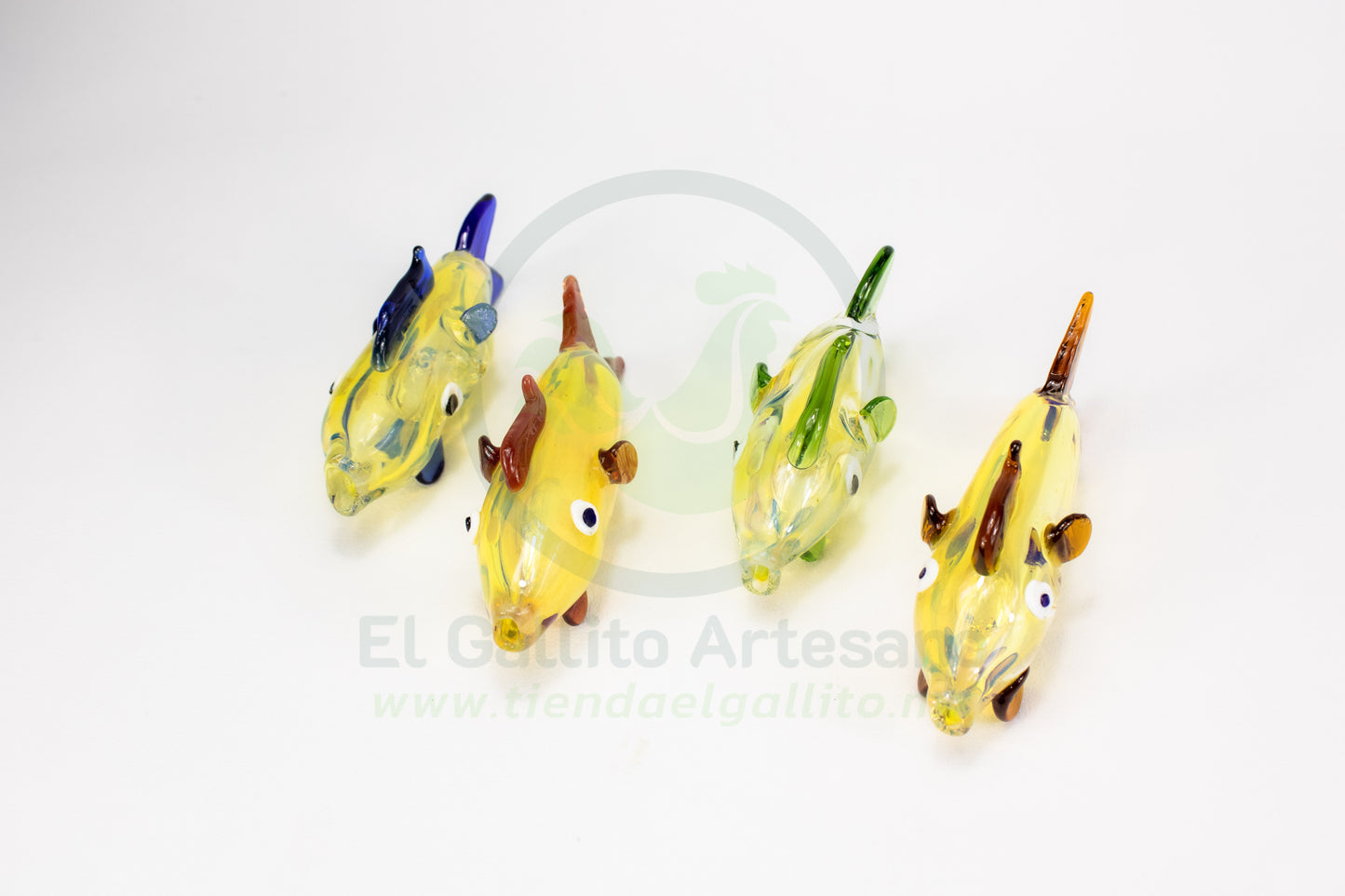 Pipa Pescado