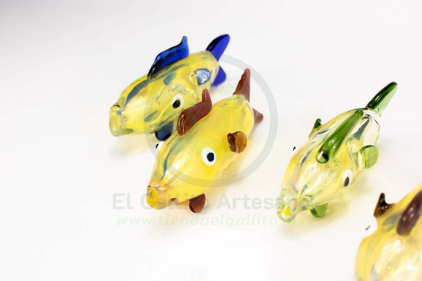 Pipa Pescado