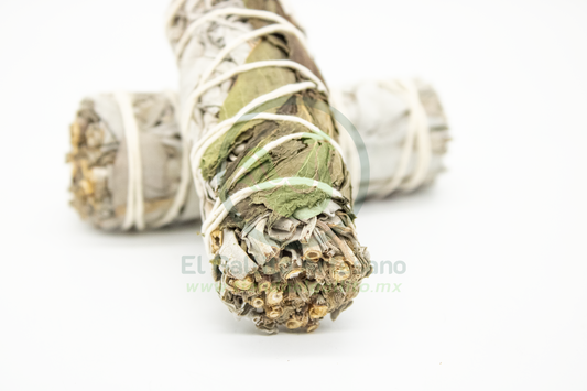 Salvia Menta Atado