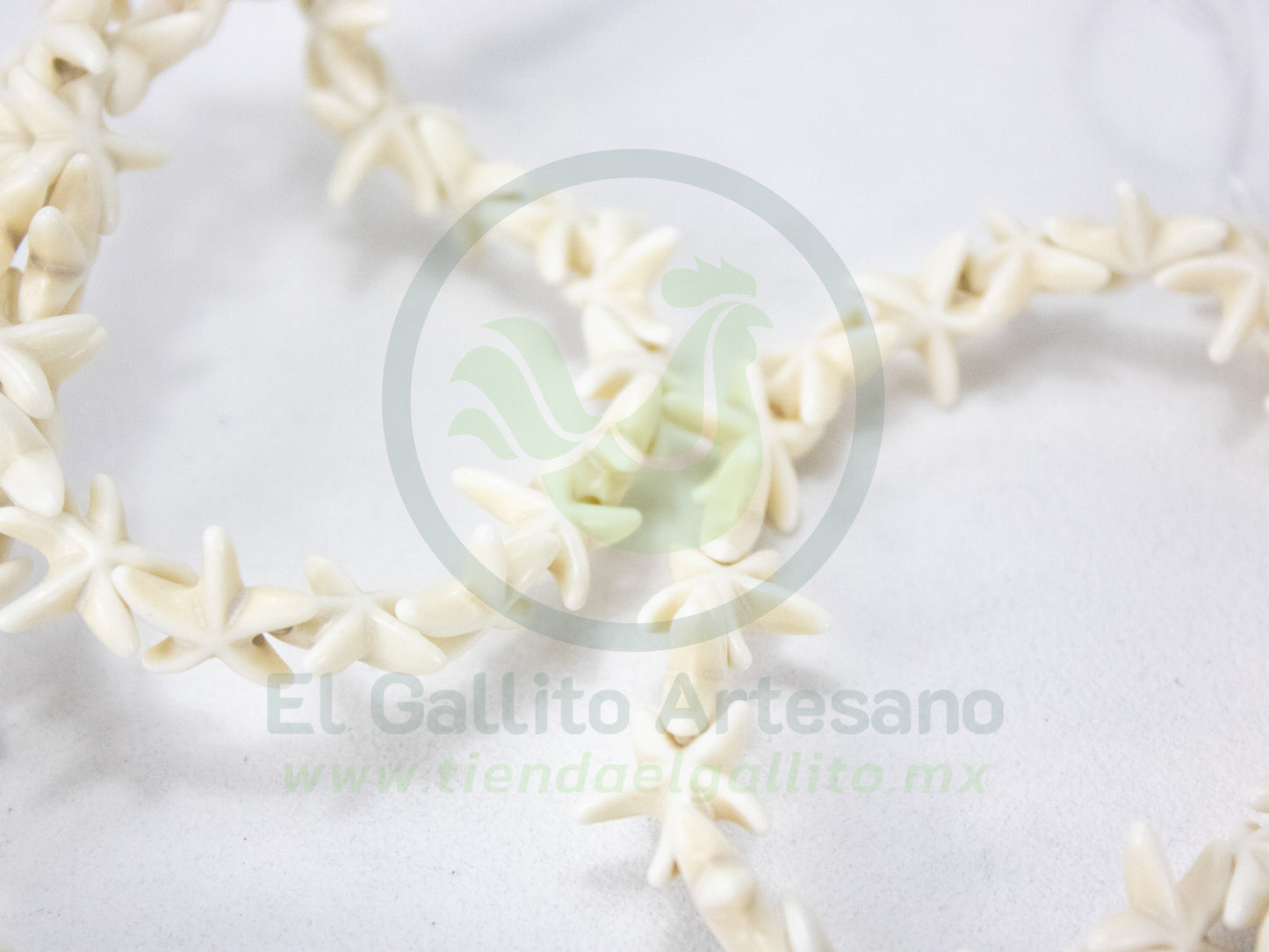 Turquesina #1 Estrella