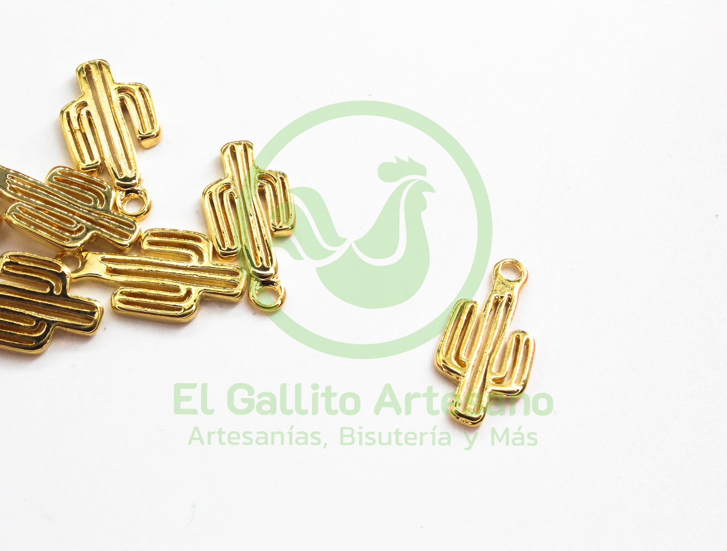 #721 Chapa de Oro - Dije Cactus