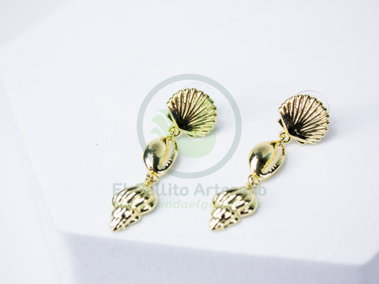 Arete 24-4 MD60-61 | Conchas de Mar