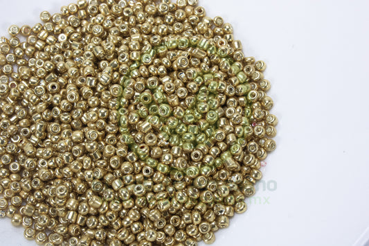 Chaquirón 100-Gr60-1106 | Dorado