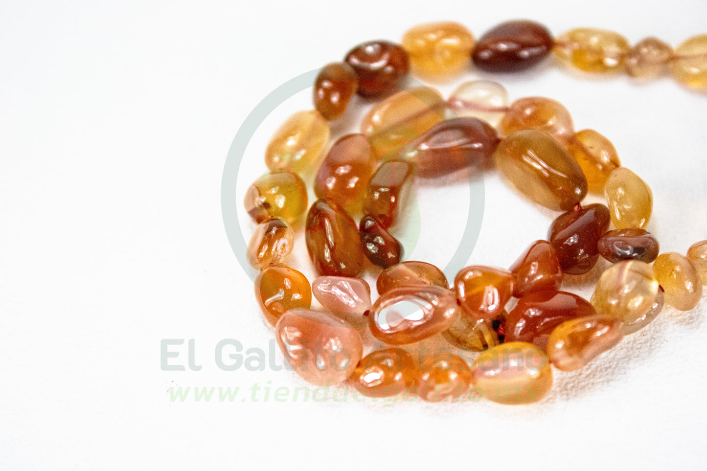 Chip Piedra 25-1 #10