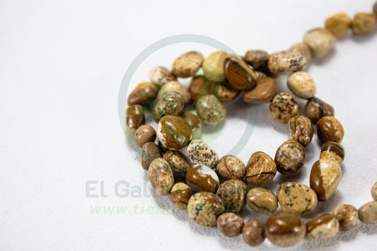 Chip Piedra 25-1 #18