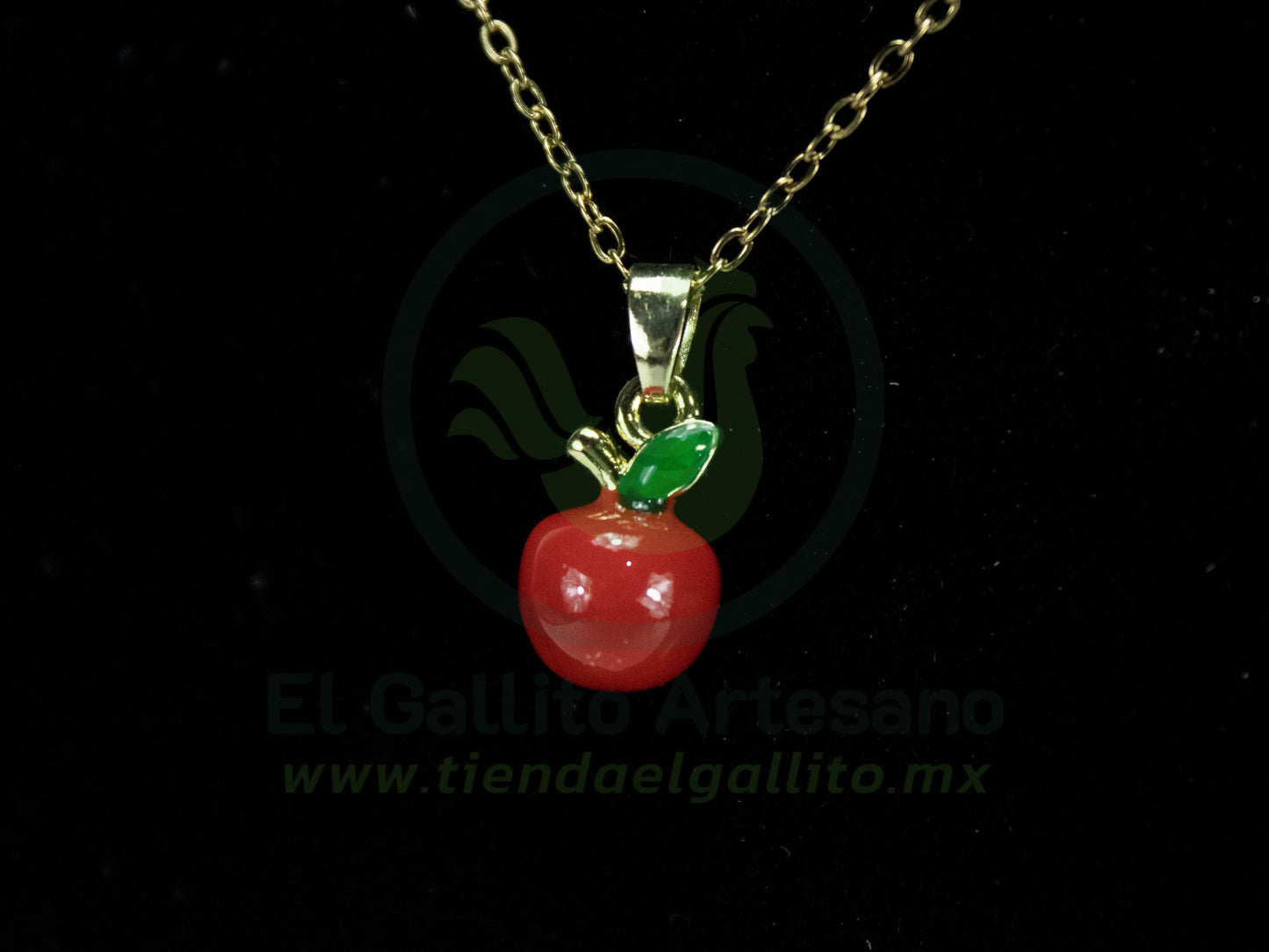 Collar Acero 25-1 #01