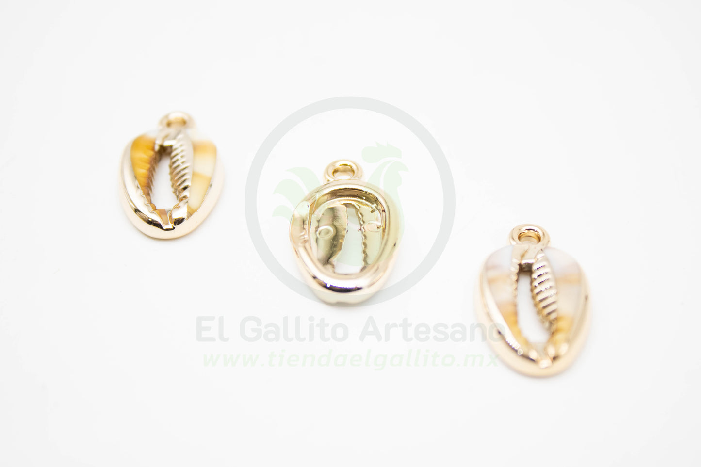 Concha de Mar - Dije Acrílico