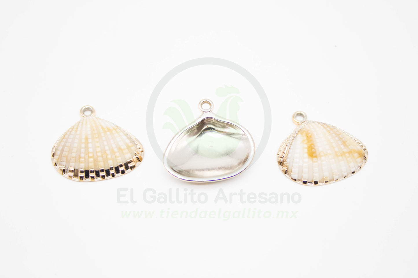 Concha de Mar - Dije Acrílico