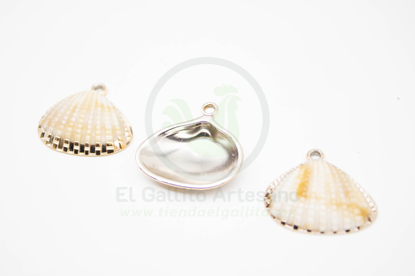 Concha de Mar - Dije Acrílico