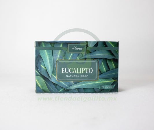 Jabón Hana |  Eucalipto