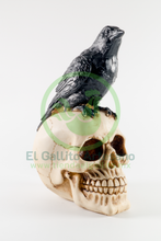 Cargar imagen en el visor de la galería, Mod. 29 Cráneo Grande Con Cuervo
