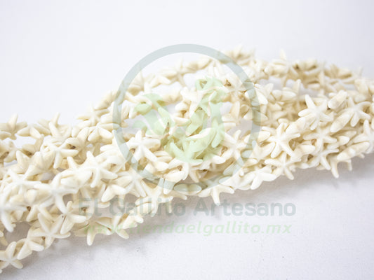 Turquesina #1 Estrella