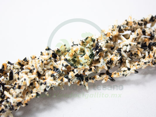 Turquesina #2 Dalmata