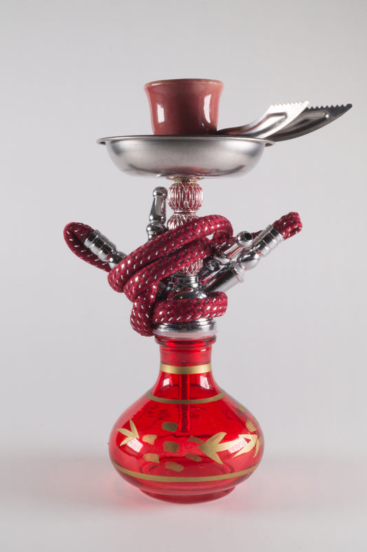 Narguile/Shisha Varios Modelos 2 Mangueras Chico